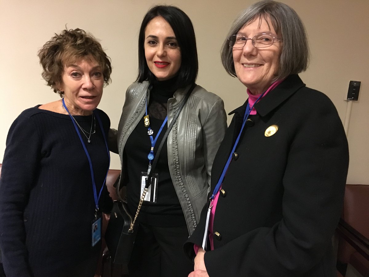 Snow and slush couldn't keep <a href="/IAGG_2021/">IAGG</a> U.N. representatives Martha Bial and Carole Cox from attending @IntFedAgeing's #CSocD57 side event on fostering resilience via universal health care throughout the life course (and taking a few snapshots).