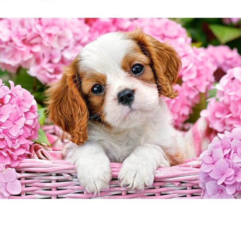 {Leaves a little surprise for <a href="/IWillBeYourWine/">ᴇᴍɪʟʏ.</a> }