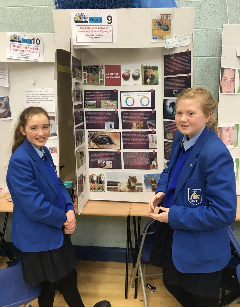 mariemccolgan's tweet photo. I’m still learning! Hope and Amy’s very interesting experiment compared human eyesight with horse eyesight- absolutely fascinating #SMDscienceFair19 #SMDScienceWeek19 https://t.co/i8KGPYGZdy