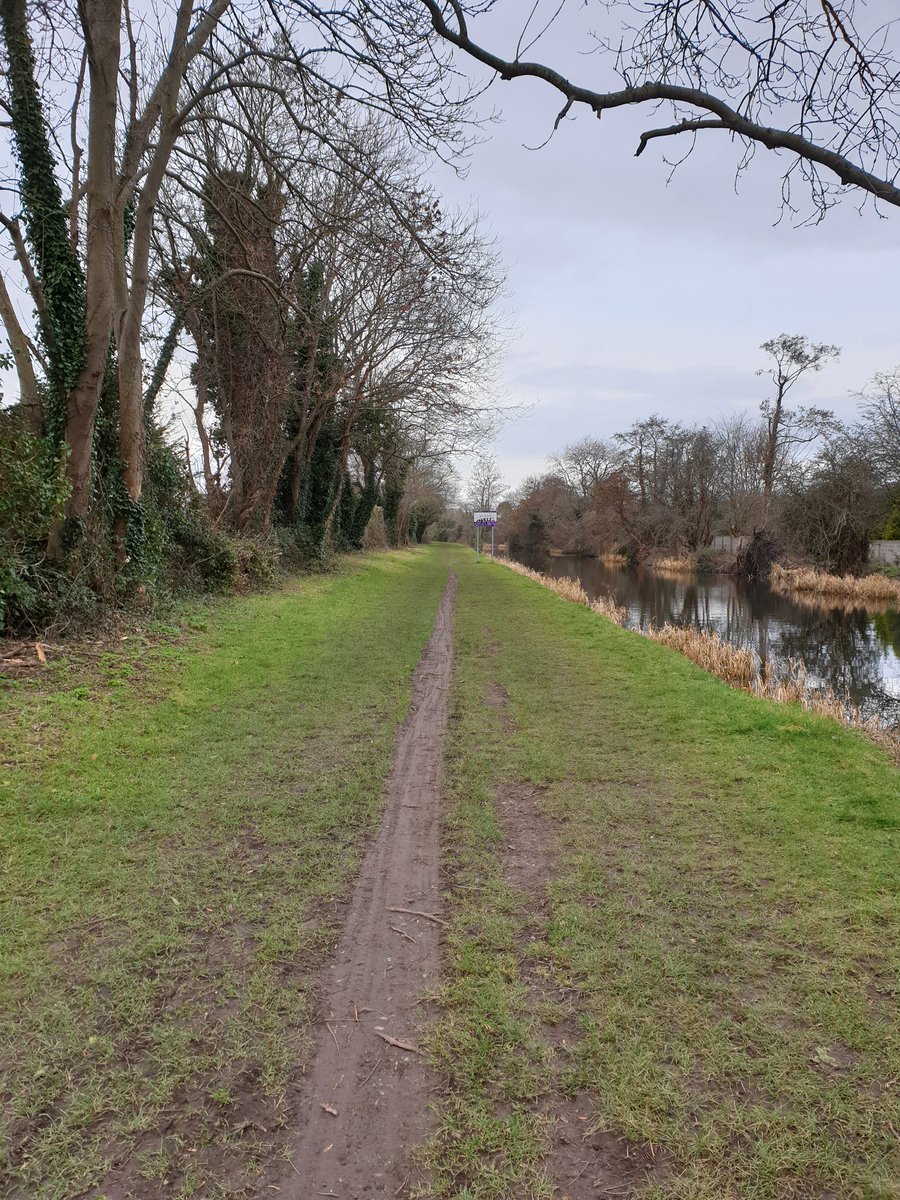 BillyLinehan's tweet photo. @whittledaway Stop clearing away the hedges and canal banks ! No need for bird boxes. Keep the #greenway GREEN! #biodiversity #royalcanal #deepsinking #castleknock #ecocorridor https://t.co/uqEJbbw8wR