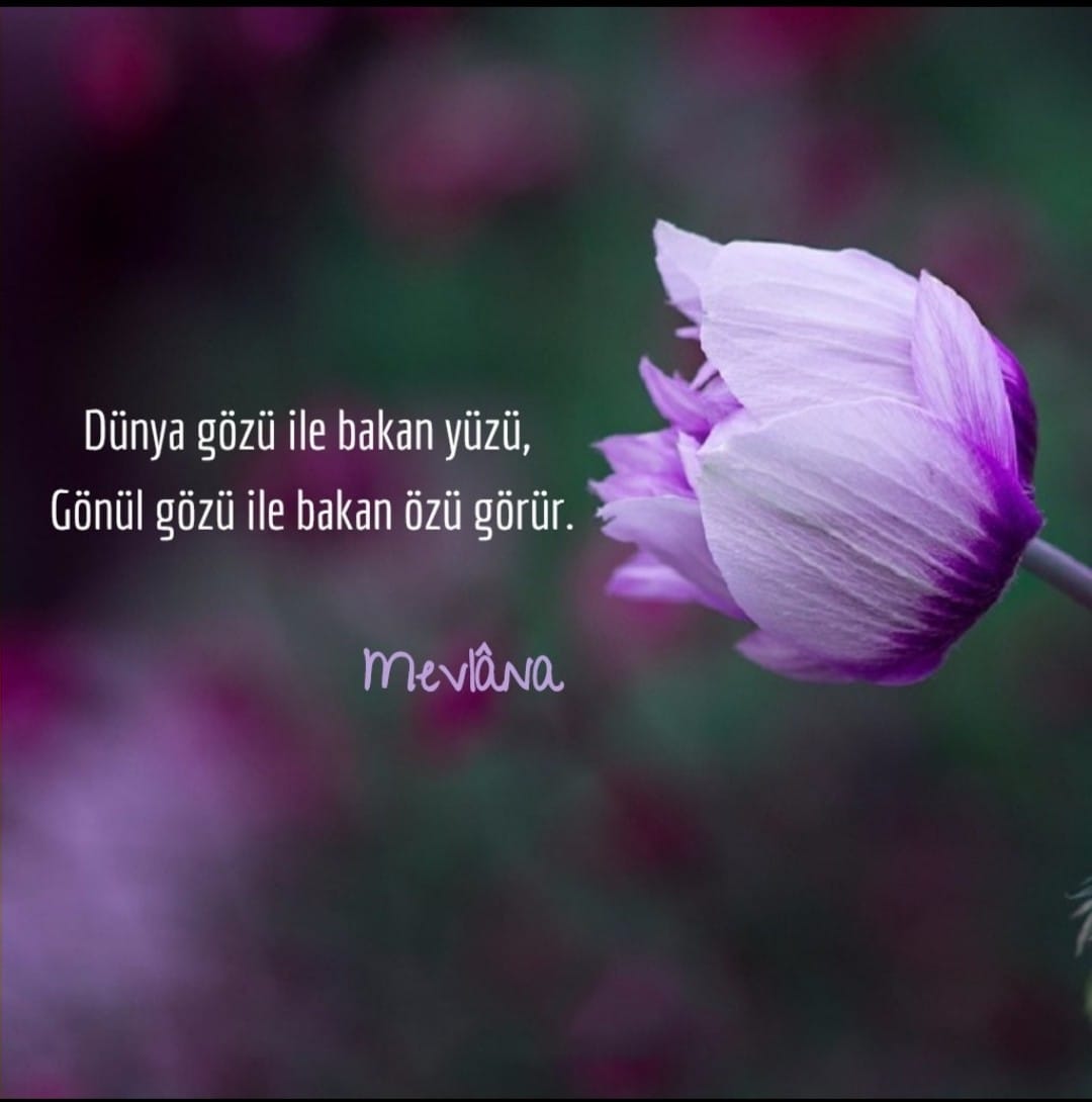 Dunya Gozu Ile Bakan Yuzu Gonul Gozu Ile Bakan Ozu Gorur Mevlana Ozdeyis Net