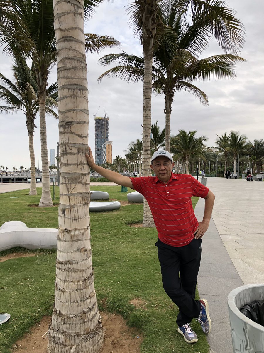 mahmudabbas1002's tweet photo. Coconut trees in the desert 😮 a beautiful walk at Jeddah Waterfront. Here, families, men and women walk along the waterfront and serious excercise buffs cycle and jog in separate lanes. Hundreds of people doing their morning excercise here. Unbelievable.#lifeinsaudi https://t.co/TybEecdX1W