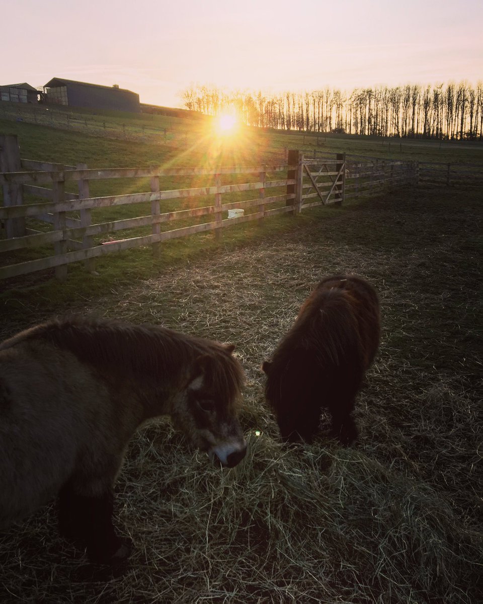 Sunrise 🌄🥰🌿
