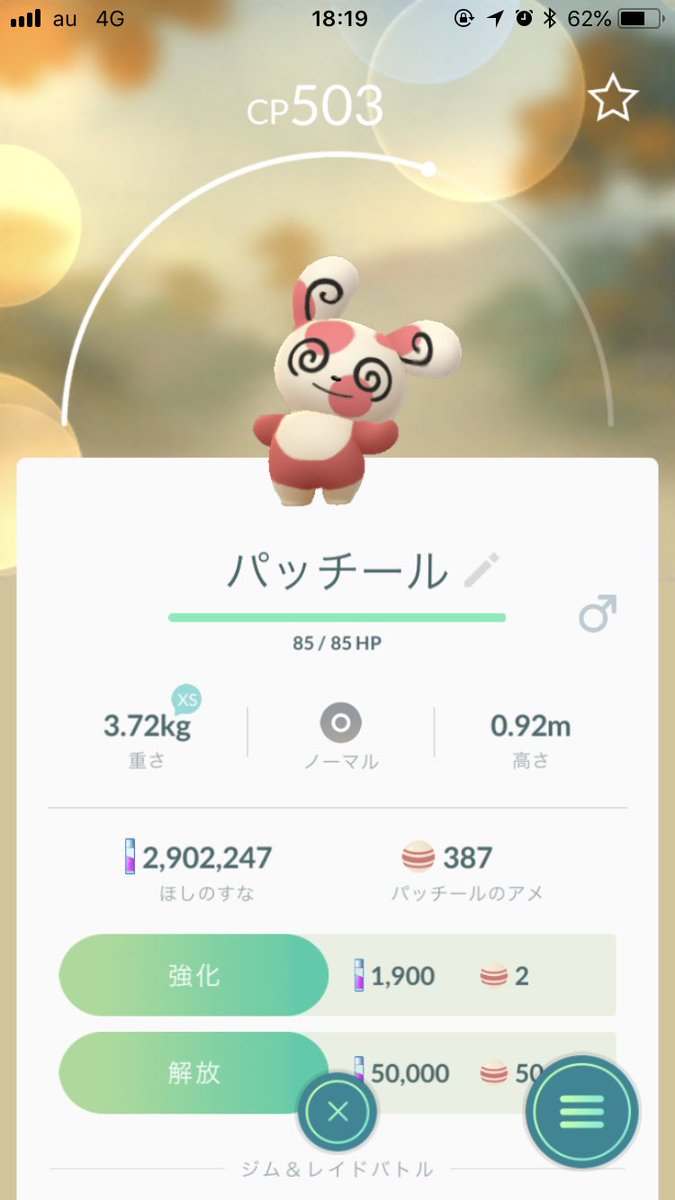 要注意 Getできた ハートパッチール 終了 柄が変わるタイミングは みんなのポケgo みんポケ