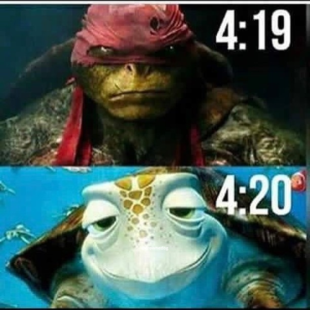 sativa_skies's tweet photo. just gotta ride the current fam#indica #sativa #herb #hightimes #stoners #stonersociety #cannabis #purplekush #420
#prop215 #maryjane #marijuana #ganja #ganjagirls #smokeweedeveryday #puffpuffpass #ogkush #kush #purplehaze #hash #smokeweed #weedstagram420 #stonernation #instawe https://t.co/C0pRouFHM1