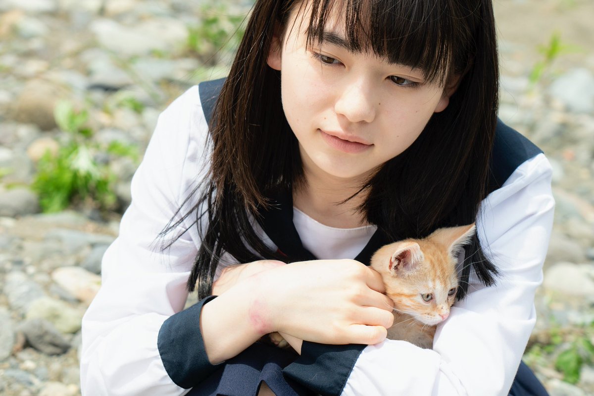 山田杏奈　幸色のワンルーム　DVD Amazon.co.jp: 幸色のワンルーム [Blu-ray] : 山田杏奈, 上杉柊