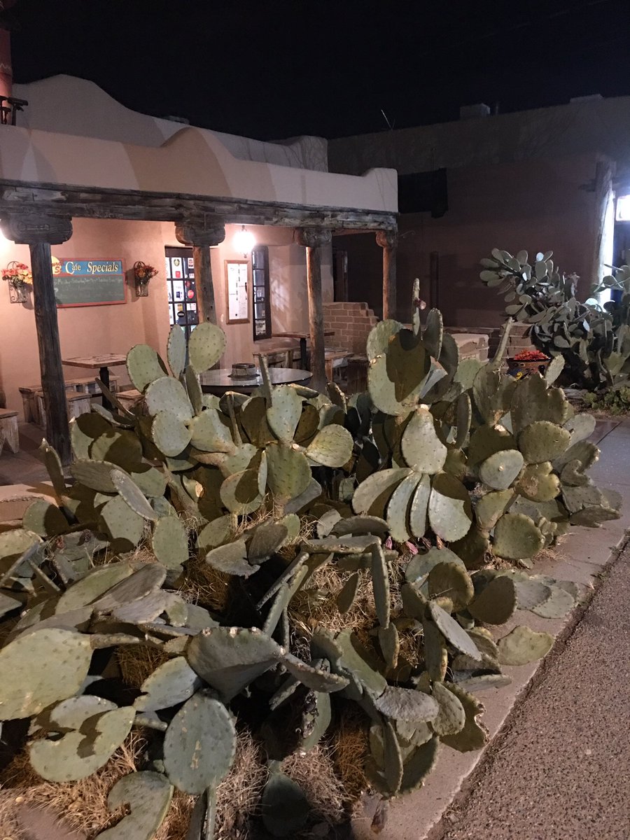 Fortunate to have the opportunity to support Albuquerque schools #nopales