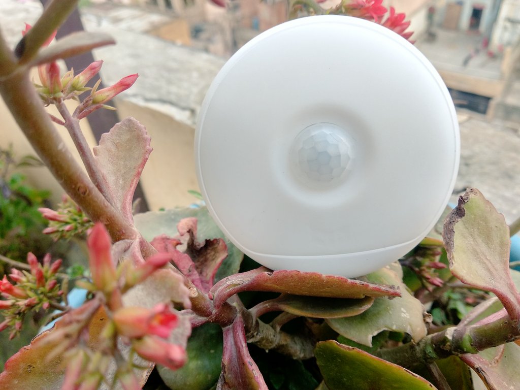 ThePhoneTalks's tweet photo. Yeelight Motion Sensor Night Light 🔥💡😍 @yeelightin @Yeelight #yeelight #yeelight #technology #tech #techie #gadgets #blog #blogger #geek #techgeek #technews #techupdates #lightmotion #innovation #techproducts https://t.co/fpY6bzV8YY
