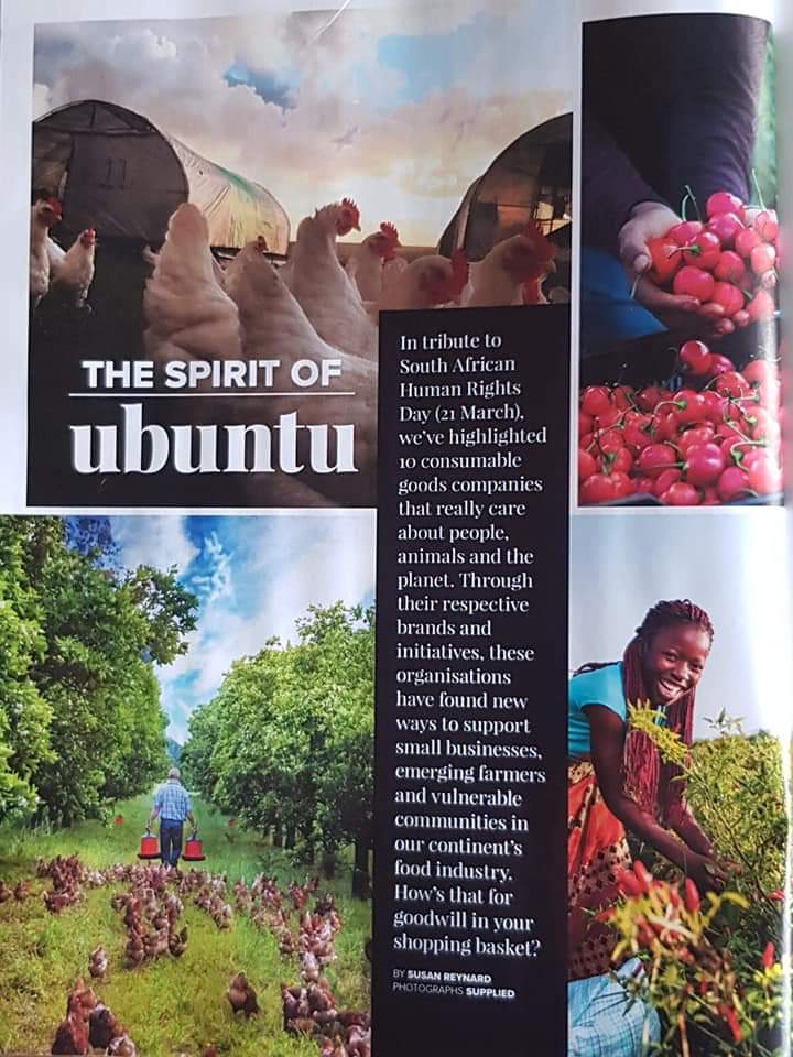 Île De Pain tweet media