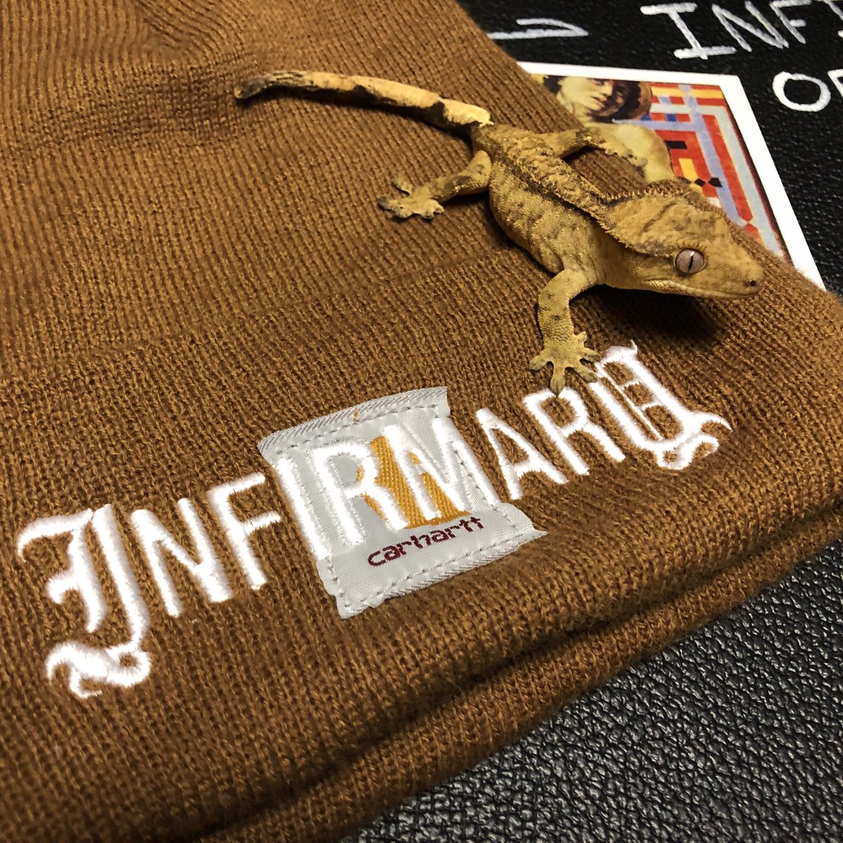 INFIRMARYHC's tweet image. pick up a carhartt beanie on saturday! -ziggy