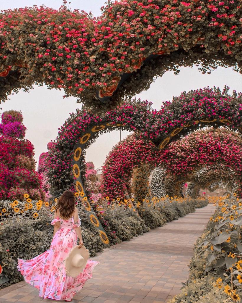 visitdubai_pl's tweet photo. Jakie plany na dzisiejszy dzień? https://t.co/3GRRVJEIPr  [zdjęcie IG/@Nastasia] #OdwiedzDubaj #VisitDubai https://t.co/kFiuwBNr6a