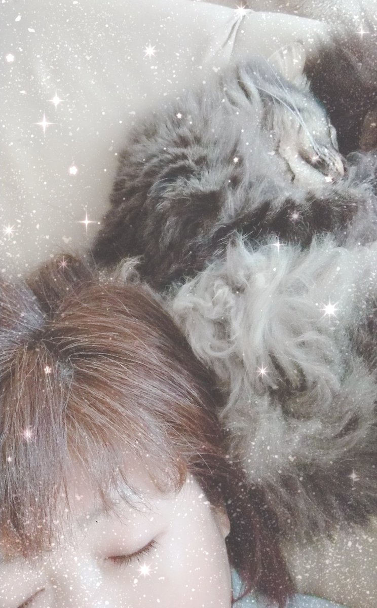 一緒にお昼寝😸💓💓
#にゃんにゃんにゃんの日
#猫の日