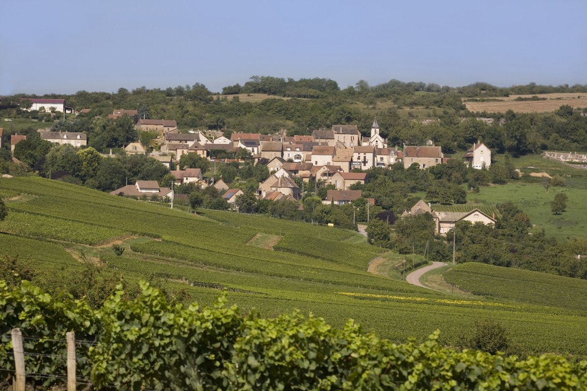 VinsdeBourgogne's tweet photo. #JOURNALISTES Les dernières infos #VinsBourgogne à destination de la #presse 👉 https://t.co/kT7MVPjJEF 
En Une, "Les vins de "Des vins de Bourgogne accessibles ? Oui, c’est possible !" 
📷 BIVB / https://t.co/d7L9wC0aax https://t.co/I1Az8Pv8wB