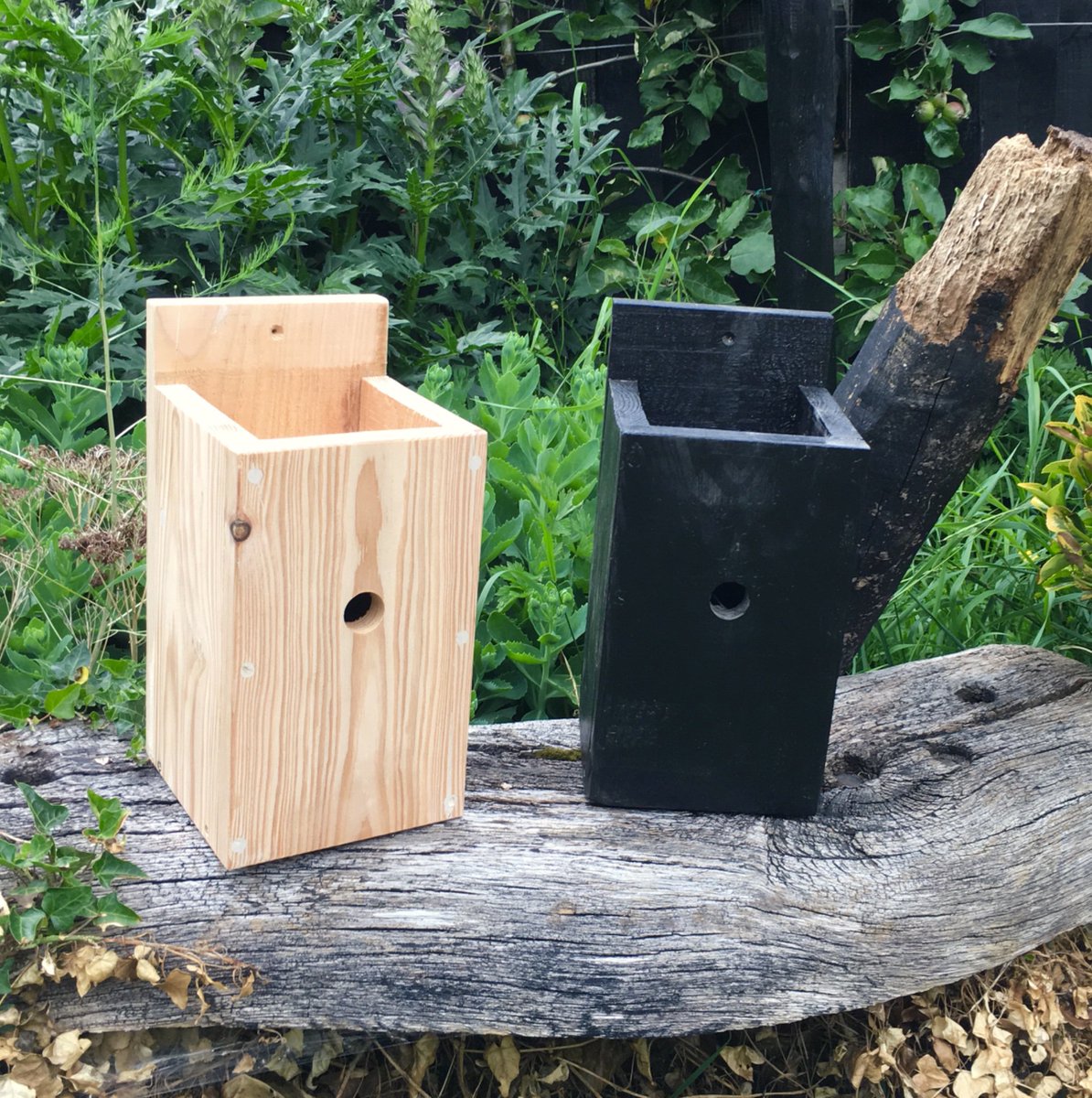 HenBeeGardens's tweet photo. Check our our range of bird houses all crafted from local reclaimed materials, perfect home for garden birds.
https://t.co/yBaCkdF5j0
#nestboxweek #homesfornature #lovewildlife #wilduk #Shropshire #garden #etsyshop https://t.co/Q6e6361gYW