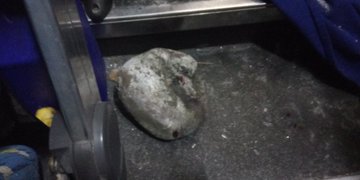 Ver imagen en Twitter