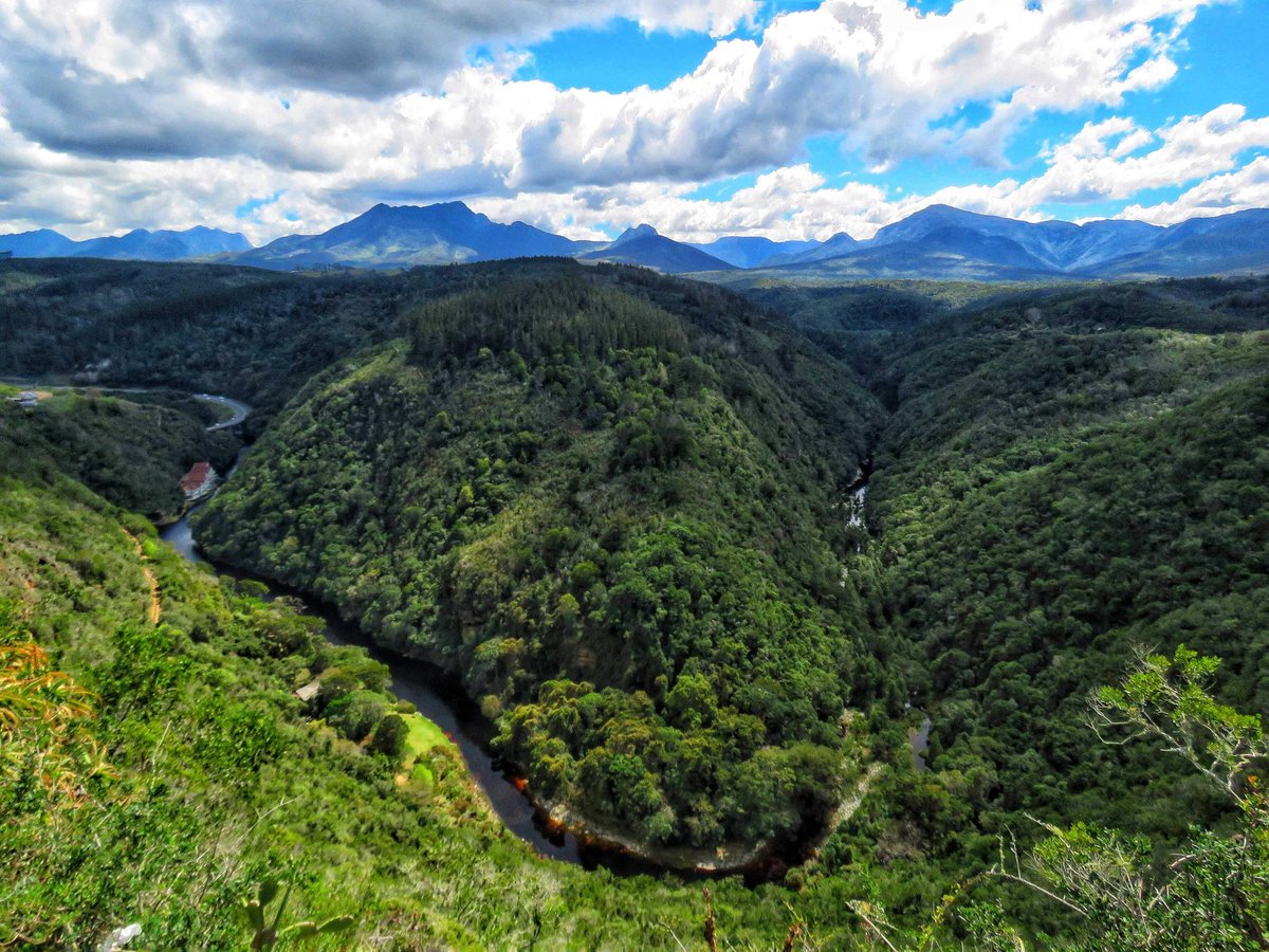 The Wilderness Hotel tweet media