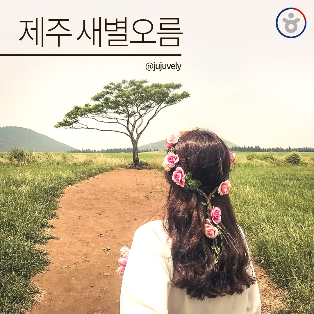 어머! 예쁜 곳 여기 다 모였네👰🤵
창경궁부터 제주 새별오름까지! <국내 셀프웨딩 스팟4>

자세한 내용은 > bitly.kr/OT8eb

#셀프웨딩 #웨딩사진 #국내여행 
[사진 (Ⓒbse3089 Ⓒ안신영 Ⓒnorm_norm Ⓒjujuvely 
)]