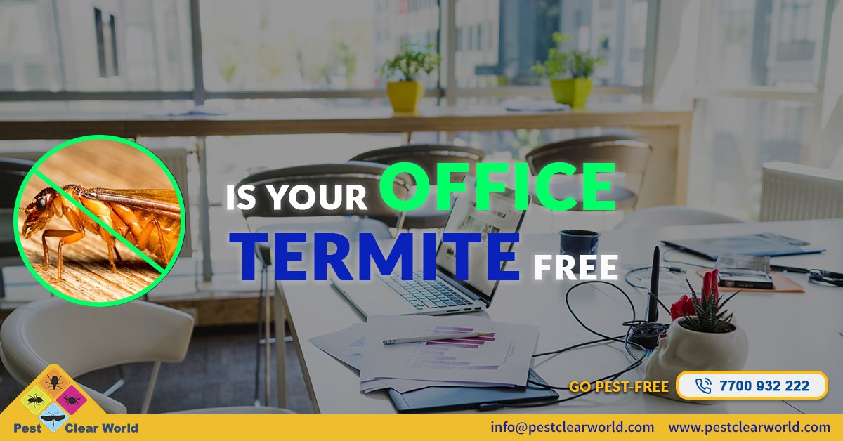 PestClearWorld's tweet photo. Is your Office Termite-Free?
#GoPestFree

Pest Clear World provides a range of valuable treatments to eradicate all kind of pests.

Call us on 7700932222 or visit https://t.co/qU42103gZS

#PestClearWorld #PestControl #PestManagementExpert https://t.co/qcP6UskTP9