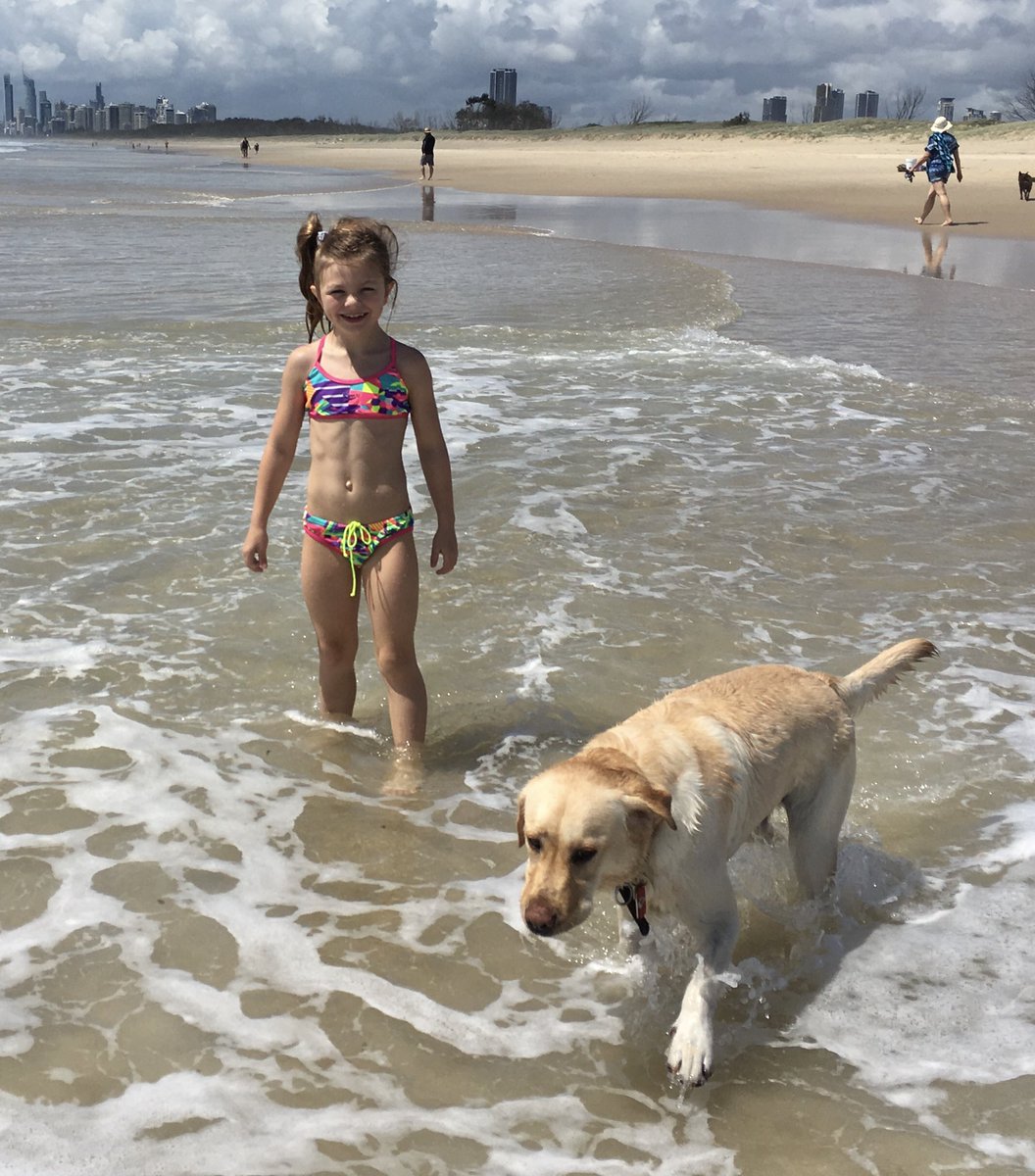 KCtheLabrador's tweet photo. Just love hitting the beach with my big sister 🏝 https://t.co/Y3oxIfQJDV