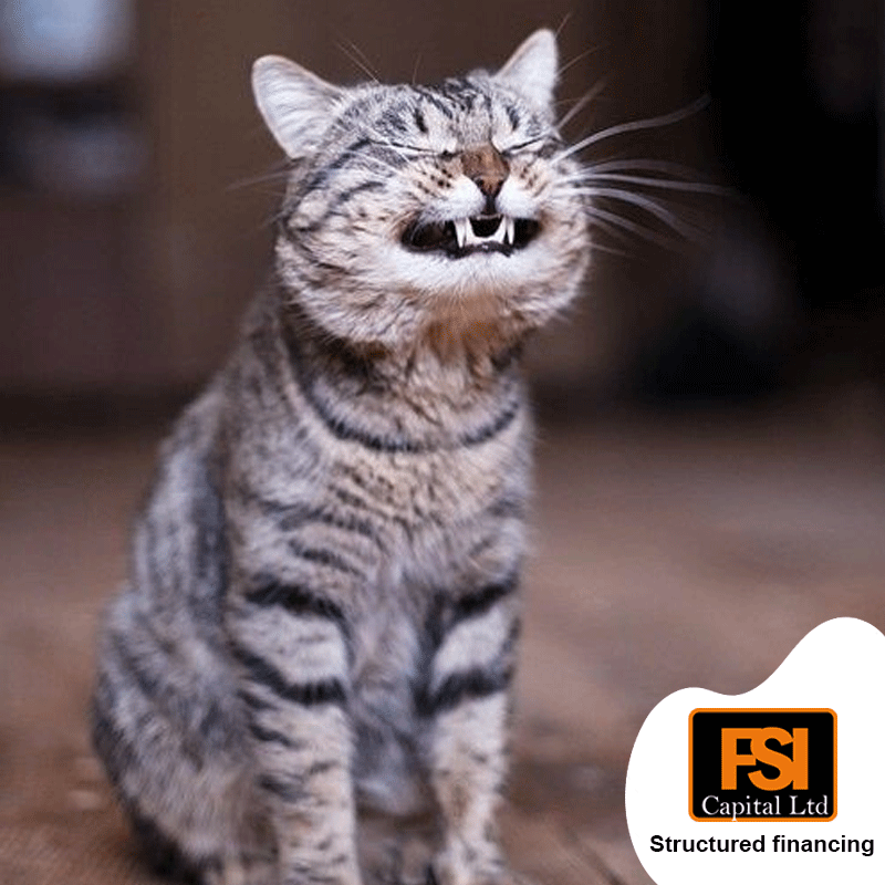 FsiCapital's tweet photo. Ati mlisema pengine full name ya mkate ni Mkatherine? 😂 Anyways, enjoy your Friday and weekend ahead
#FridayFeeling https://t.co/2zx68pWqiZ
