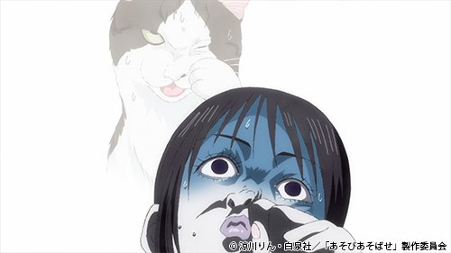 Tvアニメ あそびあそばせ 公式アカウント 猫の日 Asobiasobase