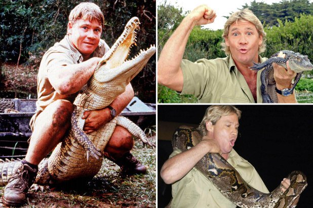 DesignsVK's tweet image. #SteveIrwin — the “Crocodile Hunter” — was a television personality and a #zookeeper. He was impaled through the chest by a stingray in 2006 near the Great Barrier Reef.
#CrocodileHunter   #AustraliaZoo 

Read This Article For Full Details, Click Here 👉🏿👉🏿trendingthink.com/2019/02/steve-…