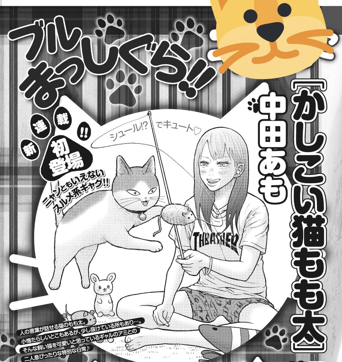 ট ইট র ヤングキングbull ブル 公式 猫の日 にゃんにゃんにゃんの日 かしこい猫もも太 という事で本日お披露目にゃん にゃんと4月4日発売のヤングキングブルで 新連載が始まるにゃ かしこい猫もも太 中田あも 人の言葉が話せる猫のも