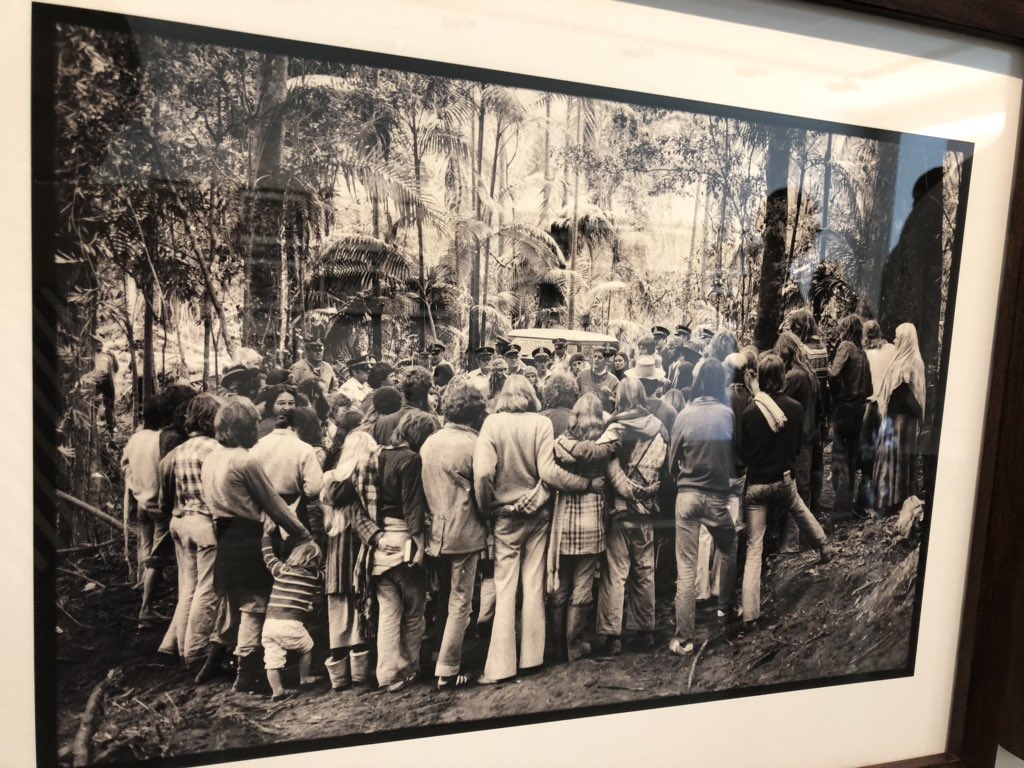 The Terania Creek Protest exhibition @LismoreGallery is amazing. Was the first time people formed a human shield to protect a rainforest. Respect! #teraniacreekprotest #nightcapnationalpark #nswnationalparks #lismore #northernrivers #byronhinterland #australianhistory