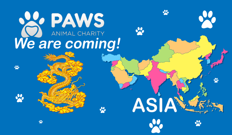 pawsfund's tweet photo. Woof Woof! Big News!! 🐶🐱 
PAWS TO LIST ON $300 MILLION Hong Kong FUBT EXCHANGE IN 3 DAYS! 
FUBT average: $300,000,000 daily volume and we have a HUGE marketing deal with them as well. 
Get ready everyone!!
#FUBT #cryptocurrency #charity #paws https://t.co/Ks7gpqekdv