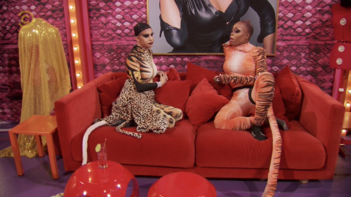 sadbokkie's tweet image. my cats talking shit about me when i’m not home