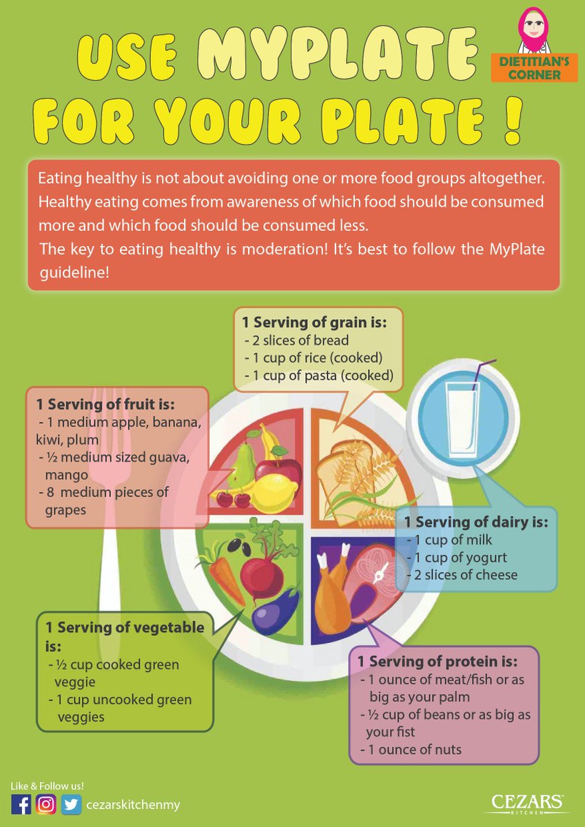 Malaysia Healthy Plate - Scarletldx