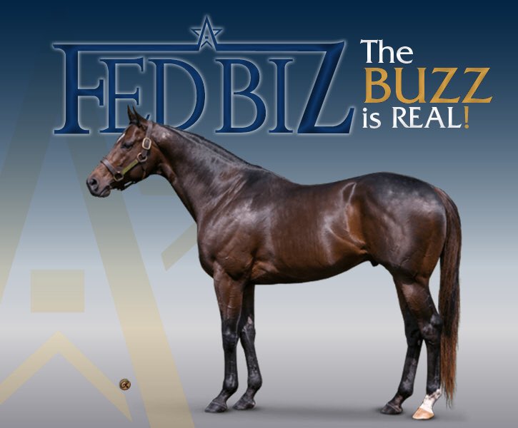 WinStarFarm's tweet photo. #BizzyBizzy debut winner for FED BIZ! Bump Bailey, 3yo Colt wins MdSpWt at @santaanitapark 1st out! Bred by Lynn Jones. https://t.co/4iO3IE7VzY