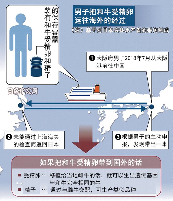 Twitter पर 日经中文网 日本警惕 和牛 品种外流 不可原谅 针对试图把和牛受精卵带往中国的案件 一名日本养牛户愤怒地说 脂肪含量高 口感好的和牛是日本农户长期改良后的结晶 面对品种外流风险 日本政府和农户产生了强烈危机感 T Co Luce1lhpvc