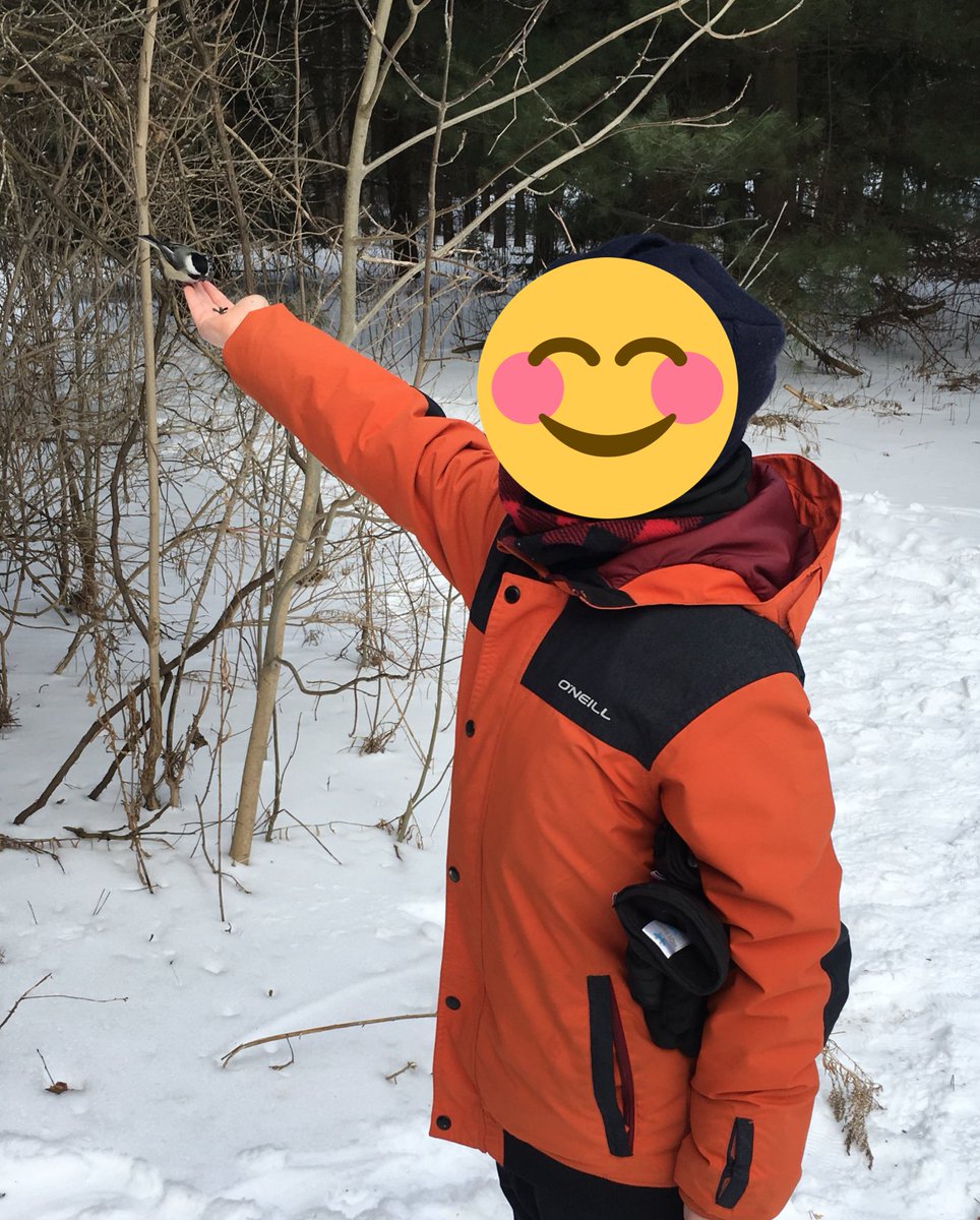 MrsJENKINS1234's tweet photo. BORC was so fun today! One highlight for the students was feeding the black-capped chickadees and the red breasted nuthatches @KingCityPS #HabitatsAndCommunities #GetOutside #WinterHike #OutdoorEducation https://t.co/0UvHqVEID4