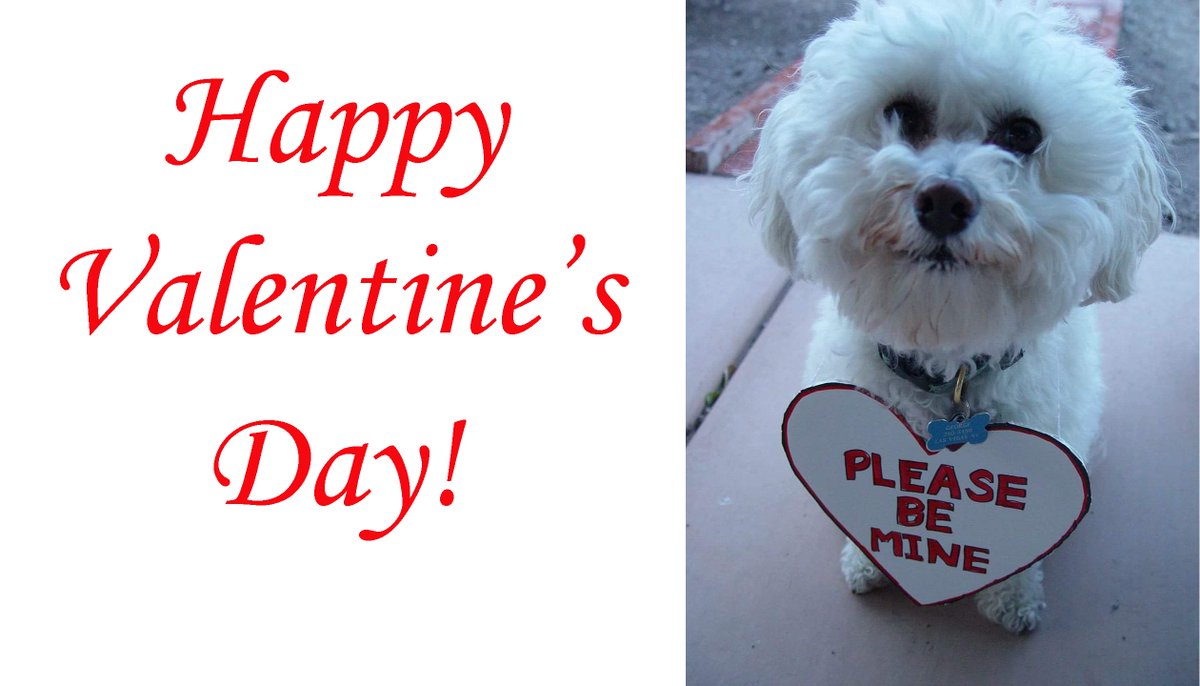 ShannonCangey's tweet photo. Happy Valentine's Day! #kidlit #scbwi #scbwitribe #5amwritersgroup #writingcommunity #amwriting https://t.co/k5DbF8pzXD