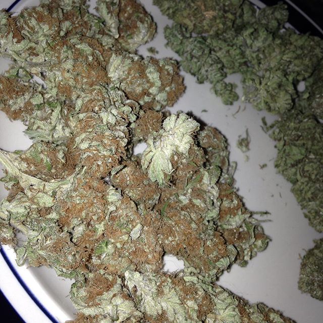 I love being such close friends with my dealer