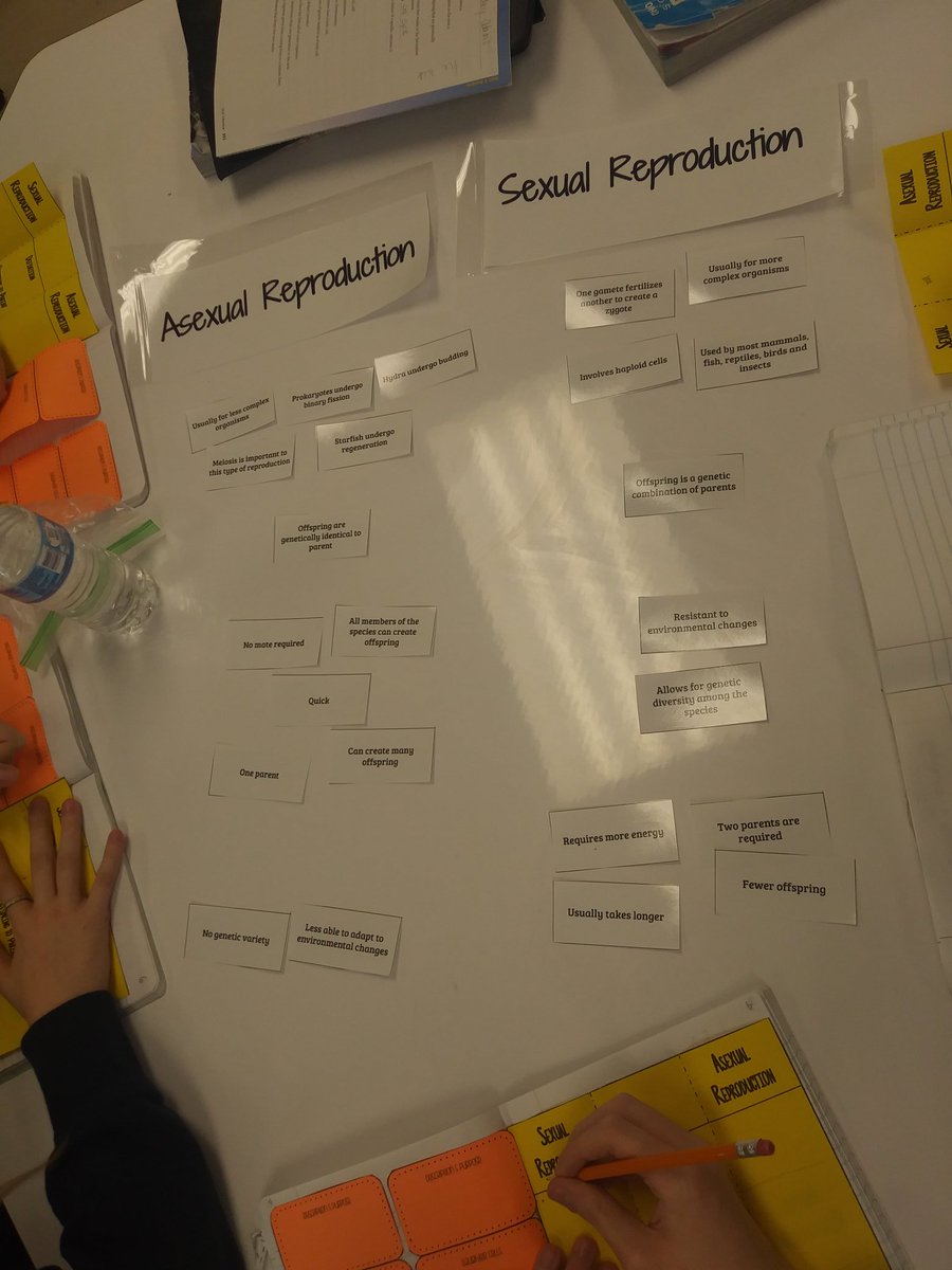 MrsMariscal128's tweet image. Test prep station lab...
@CWMS_office #CWMSchangemakers 
#myohioclassroom 
#CWway