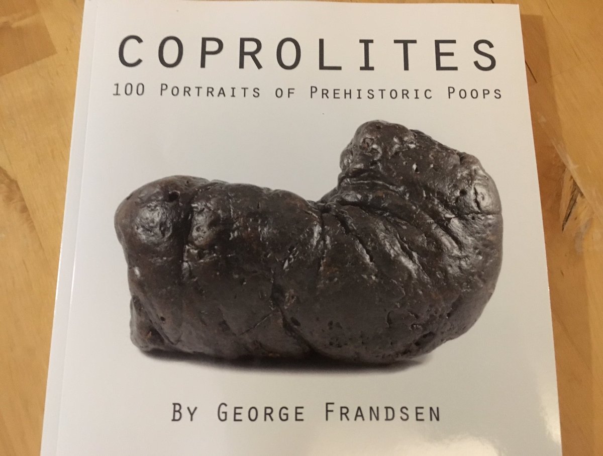 So excited to finally have this “piece of art”. I love that the author gave them names, particularly inpressed by Pablo 😂 #coprolites #poopportraits #oldshit