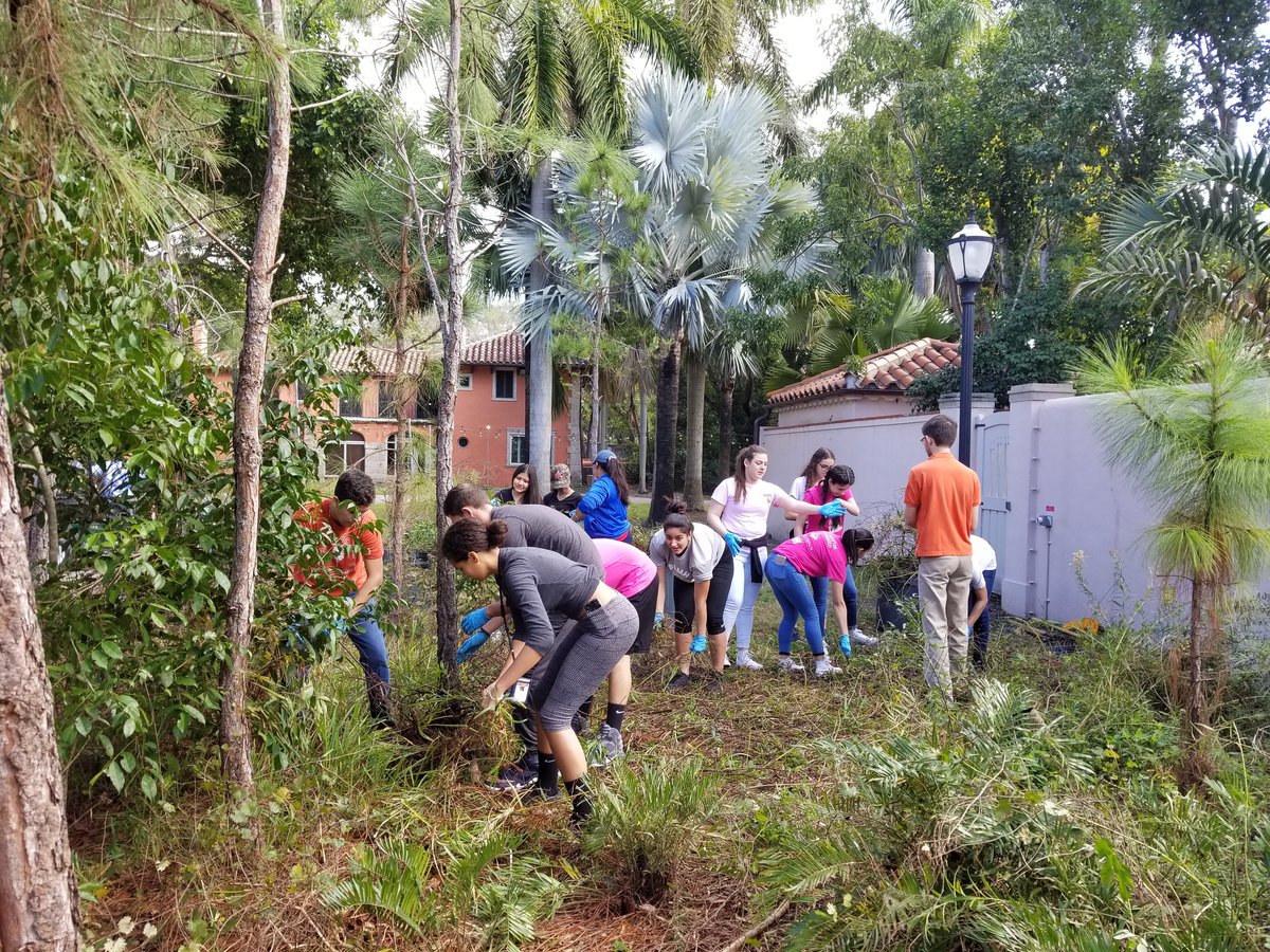 wasilewskieco's tweet photo. @PPMH Crocs Care! Our 3rd annual volunteer trip to @VizcayaMuseum was a success! This year our students helped clear away underbrush from a pineland rockridge. Thank you for working together to show Valentine's Day love to our community. https://t.co/S10Oolp9Qm