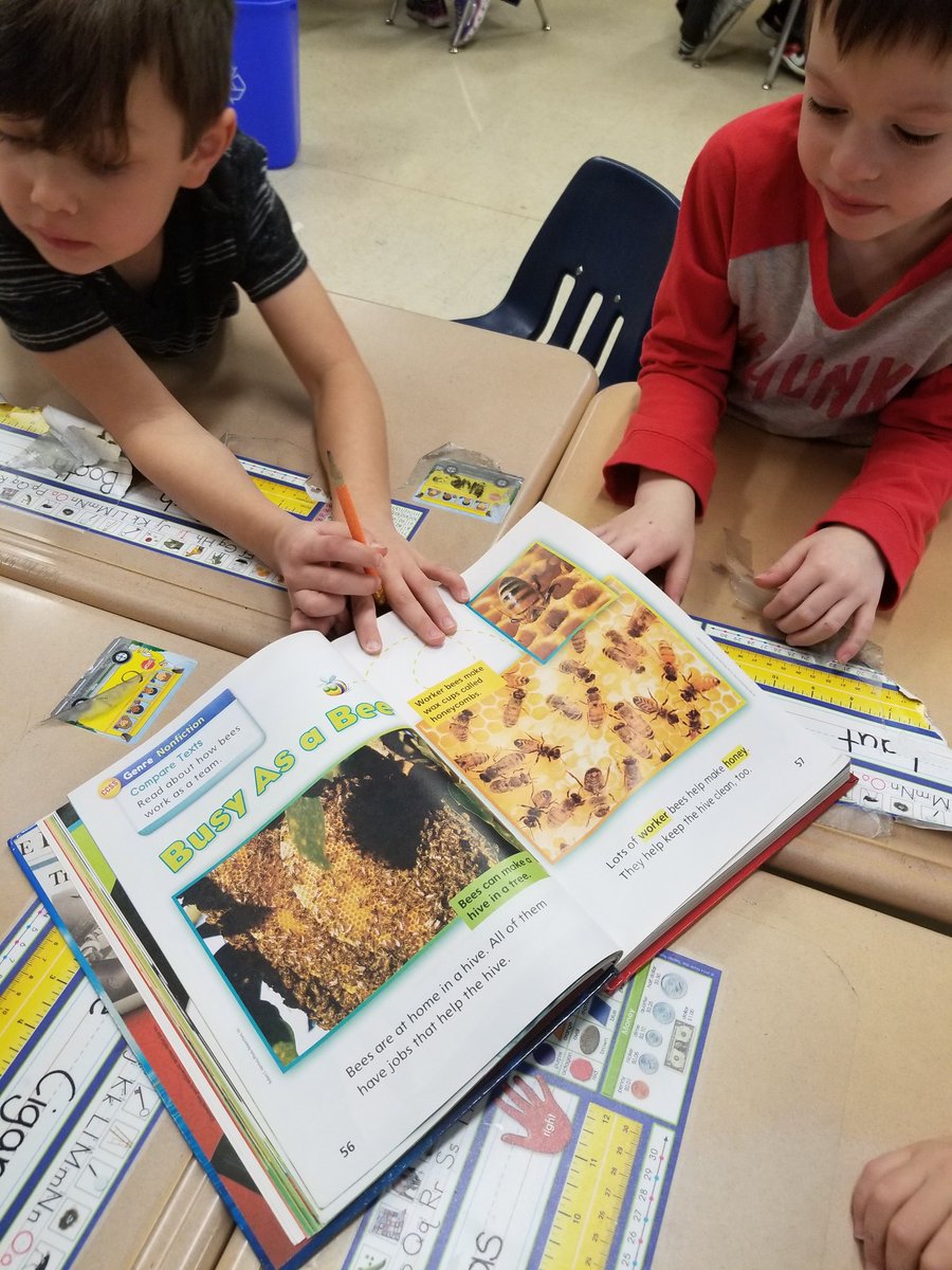 Spiegler4thies's tweet photo. We worked in groups to determine the author's purpose for writing "Busy As A Bee". #readingnonfiction #usingtextfeatures @FortkampBre @SevenOaksOwls @BCPS_ELA https://t.co/A9MlZzNXFh