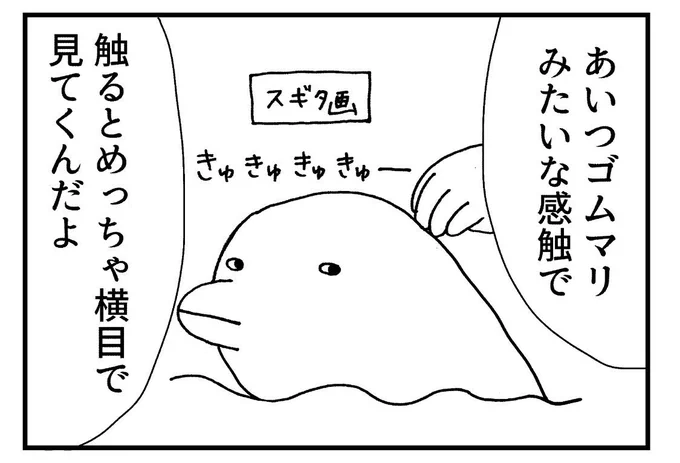 友人が単行本おまけのスギタのイルカのAA?作ってくれた
絶妙に似てないのがいい

∈⁍̴̆   ⁍̴̆))) 👋
〜〜〜〜〜 