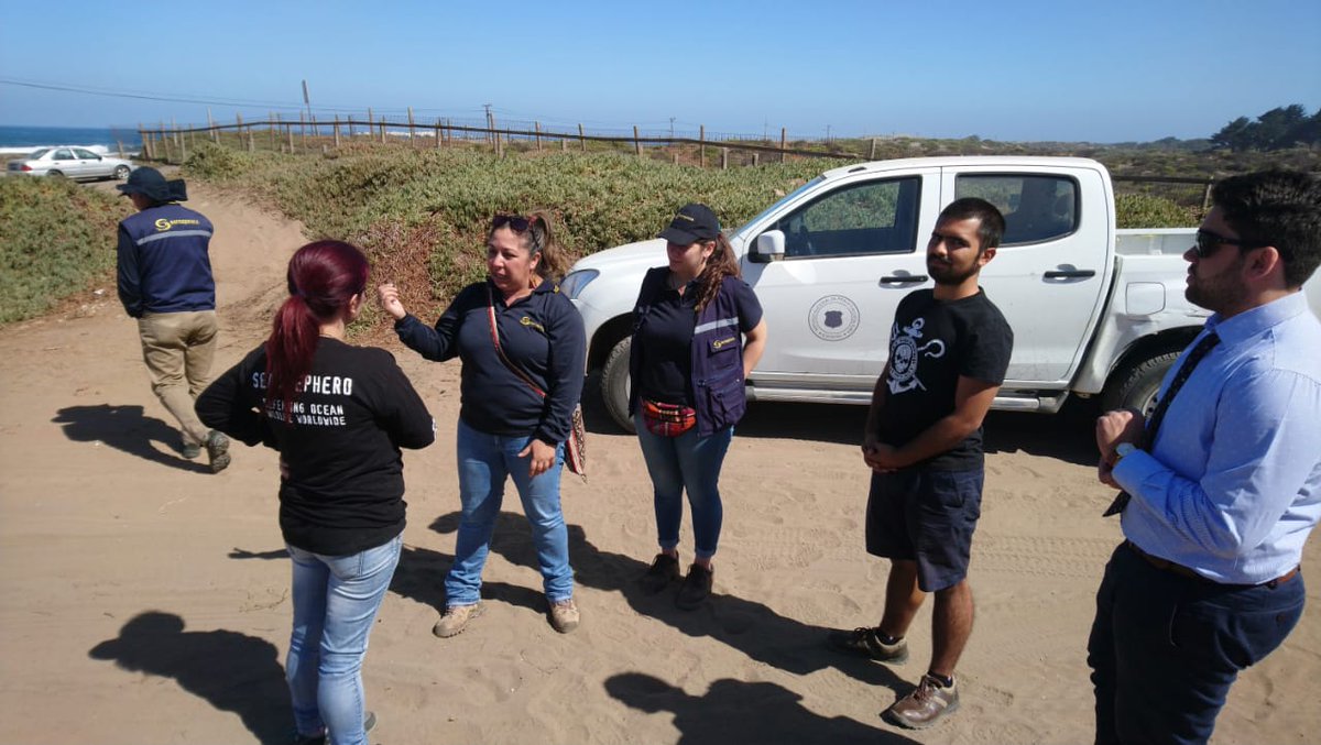 Sea Shepherd Chile tweet media