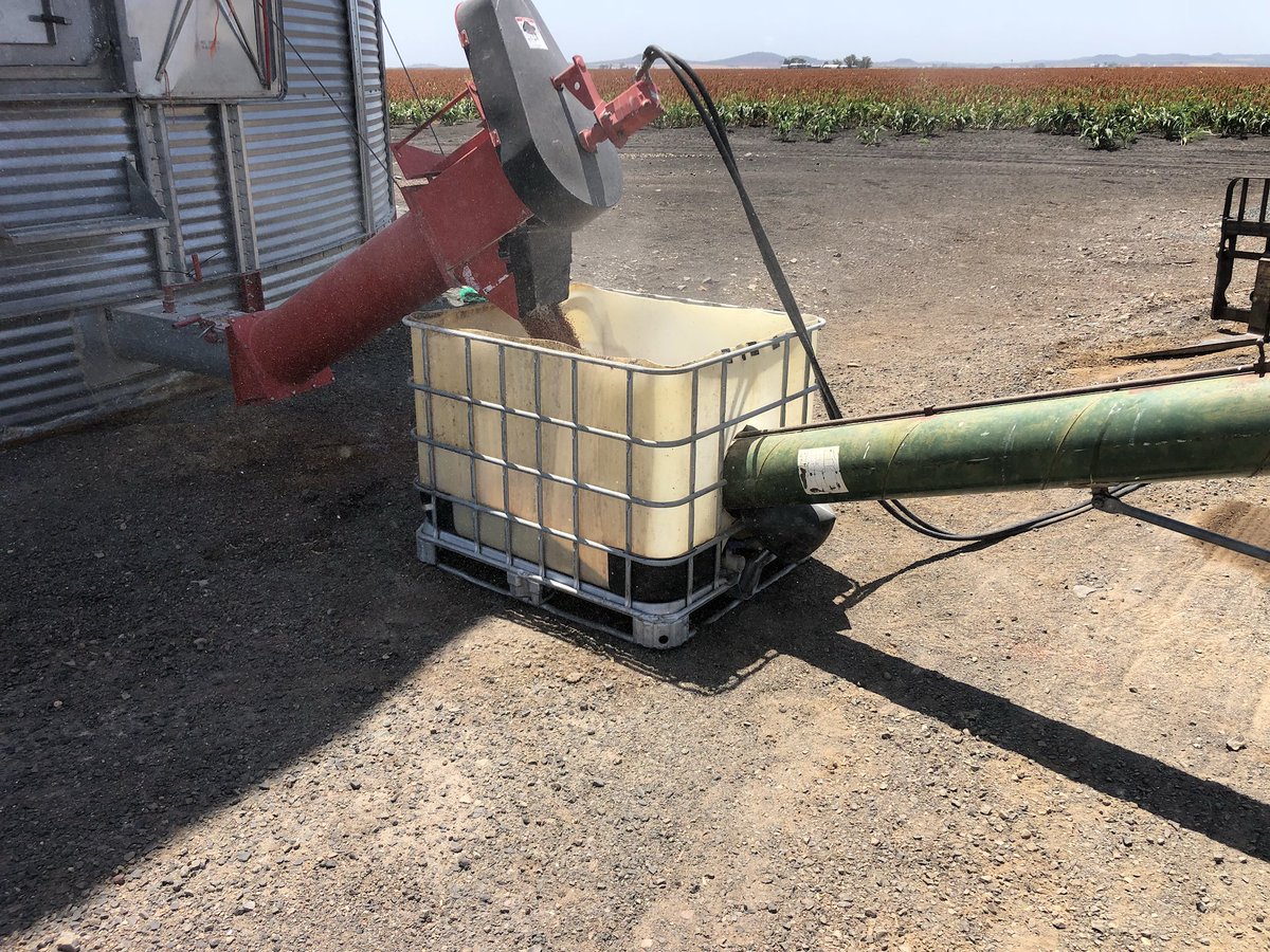 We are sick of poly hoppers breaking and folding in the mid day sun
Good old shuttles