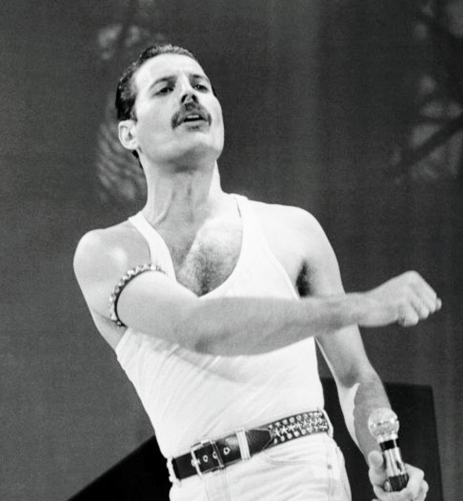 Shoko Mjmyse おー これは素敵 フレディは立ち姿がホントに美しいですものね T Co 0qplxehgys Twitter