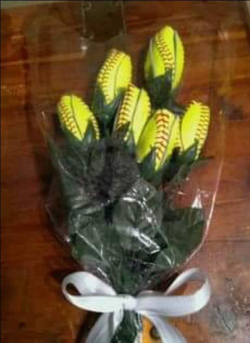BradleySoftball's tweet photo. Happy Valentine's Day from #BUSB19 https://t.co/7sOZgjXWCX