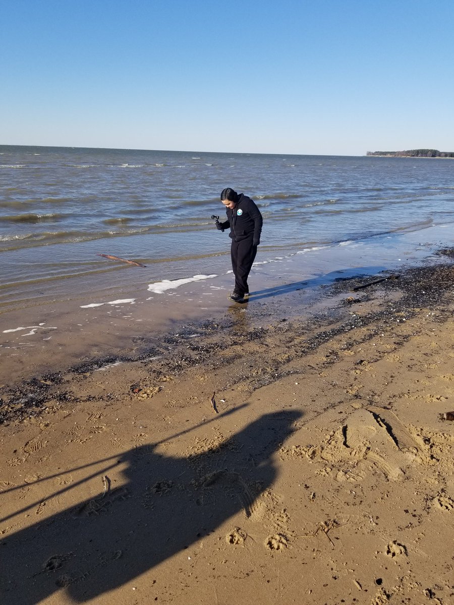 CPExploration's tweet image. We will strive not to portray expert opinions or facts but provide interesting information based on research, first-person experience, educated guesses, and theories. #Cryptid