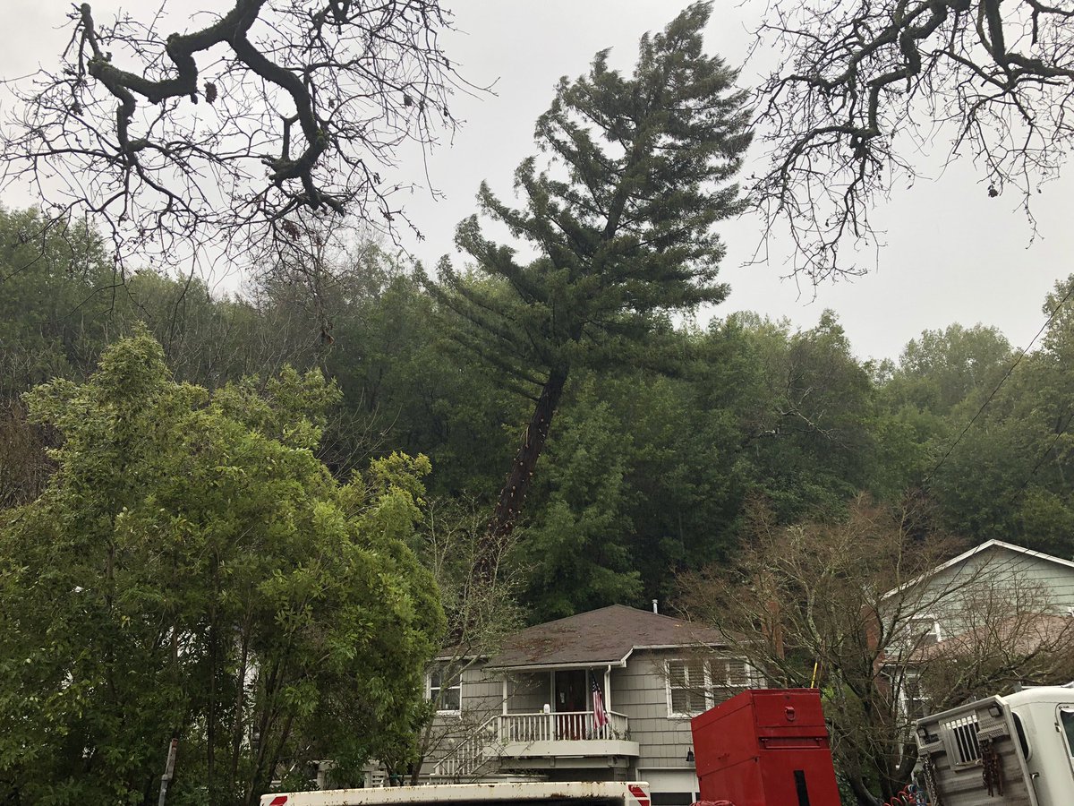 curtisskim's tweet photo. 160 foot Redwood tree onto a house in San Anselmo....part of our storm watch coverage on KCBS Radio. No one hurt. https://t.co/vWLr442g66