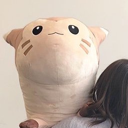 ポケモン情報局 公式 等身大オオタチ 実際に持ってみると こんなに大きいです ずっしり感が愛しい オオタチのサイズ 180cmが忠実に再現されています 抱き枕にもピッタリ あなたのお宅のベッドにも 1匹いかがですか T Co