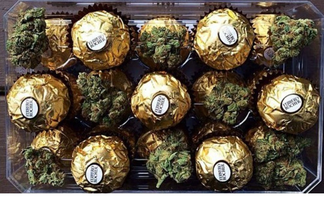 ganjaboards's tweet photo. This is what she wants 🥰 #WeedLover #cannabis #cannabiscommunity #cannabisculture #cannabiscures #medicalmarijuana #mmj #highlife #sativa #indica #THC #ff #bezarr #ganjaburn #smokeweedeveryday #california #ValentinesDay https://t.co/lH4Es4Tx5y