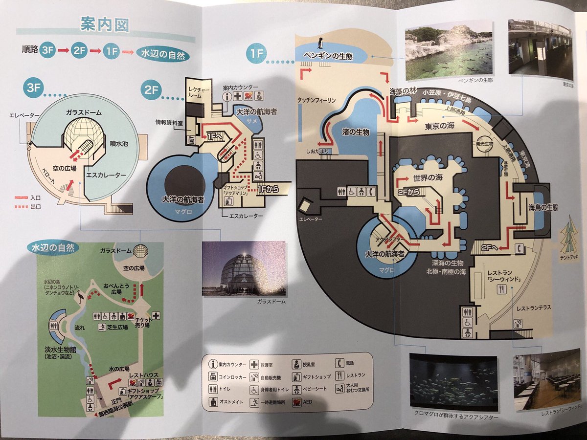 【2月の下田スケッチ会のお知らせ】

2月17日"日曜日"にスケッチ会を開きます!
場所 : 葛西臨海水族園
集合 : 葛西臨海公園駅改札前
10時12時13時の中から参加時間を選べます。どの時間も16時30分解散
参加費:月3000円+入館料700円
気になる方はDMくださいね!
#下田スケッチ会 